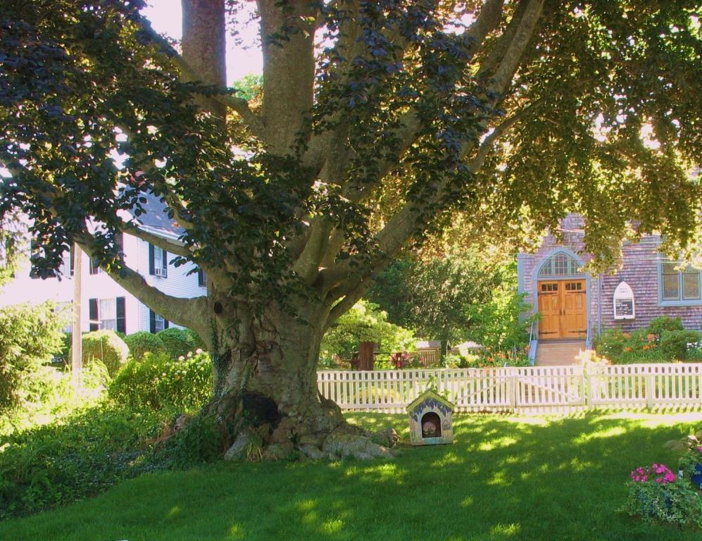 The 1720 House Bed & Breakfast Vineyard Haven Bagian luar foto