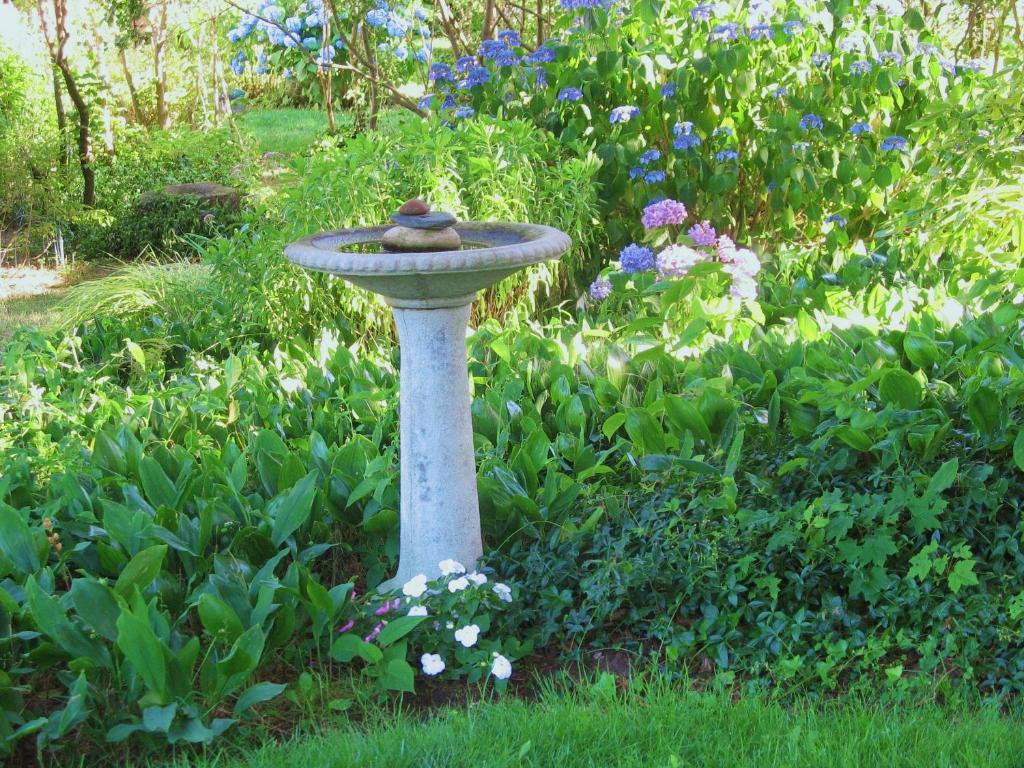 The 1720 House Bed & Breakfast Vineyard Haven Bagian luar foto